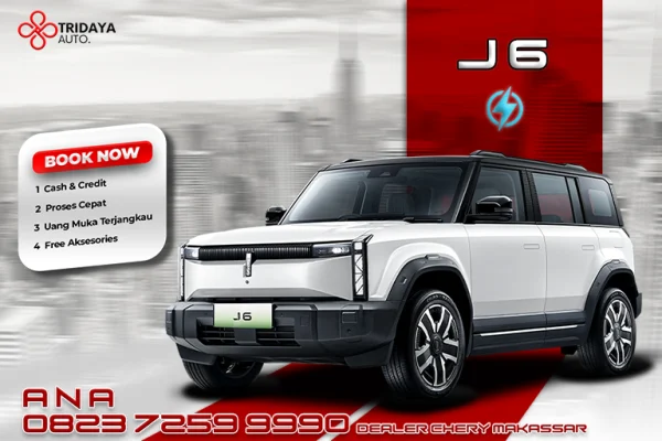 CHERY J6